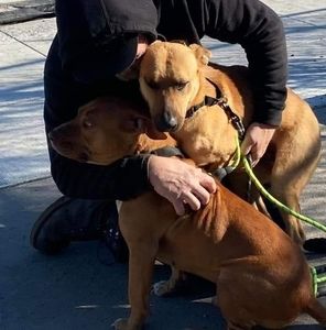 Meet your Posher, Rob